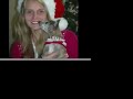 Wanda the Magical Christmas Chihuahua - by Gary Warth