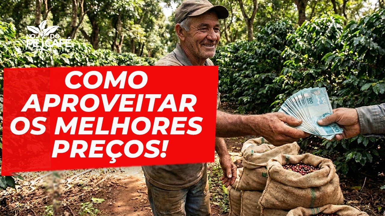 CAFEICULTOR: Se voce não entende essas FERRAMENTAS de comercialização, PERDE DINHEIRO!