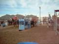 videos de Apache - Heel Horse For Sale -