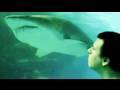 Sharks Are LAME! (Day 166)