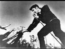 Elvis