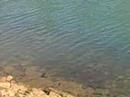 Algarve review Vilamoura Harbour clear blue waters
