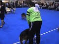 Bacha von Drachen EXPOCAN 2007 Bacha von Drachen EXPOCAN 2007