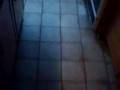 Horror video