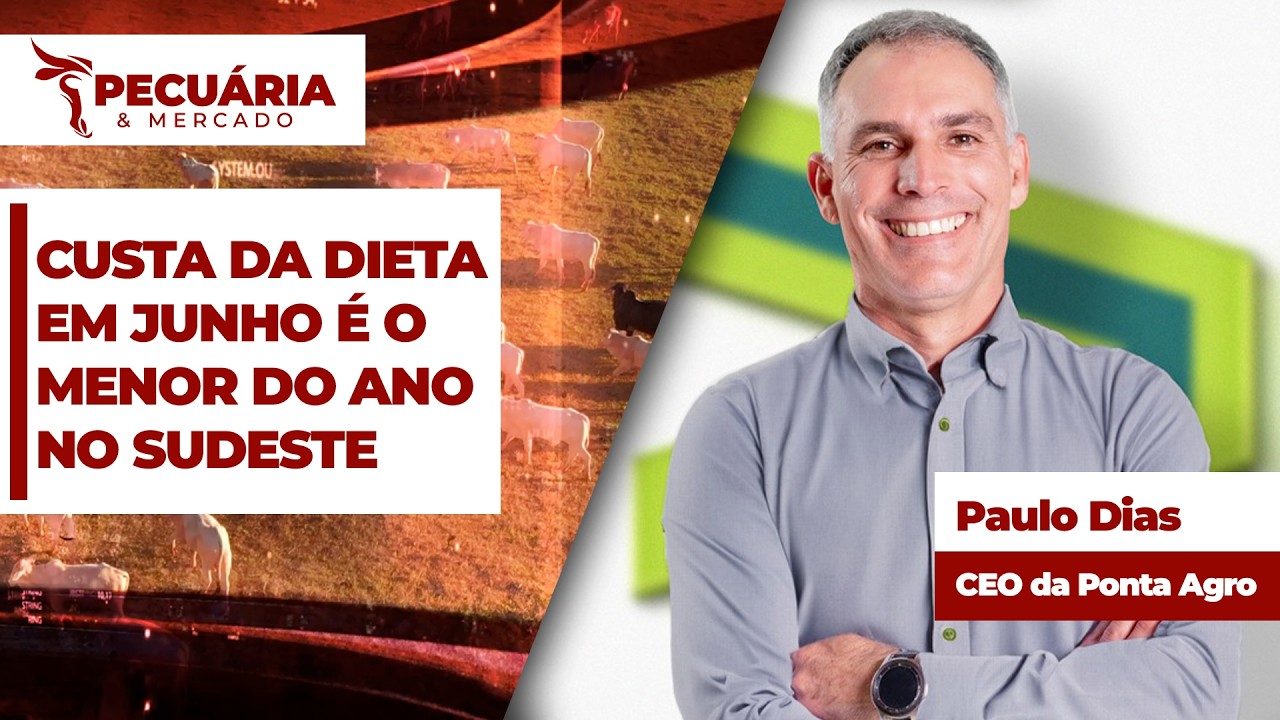 Gestão dos custos e eficiência da produção sustentam rentabilidade do confinamento