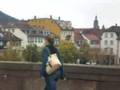 HEIDELBERG GERMANY - THE RIVER NECKAR