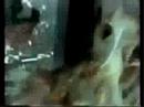 White City Video Clip (RARE) - The Pogues