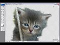 Tutorial: (Photoshop CS3) Extract Filter (Other method of Pen Tool or Lasso)