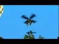 GTA-VCS-Plaything-Of