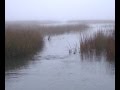 videos de Salt Water Fly Fishing.....Iowa Fortune Guide Service