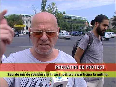 Diaspora protestează în Piaţa Victoriei