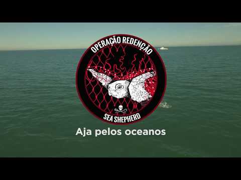 Imagem de Amostra do You Tube