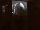 Jamison Young @ LOCAL T Teil 4