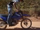 Rally... (In Bte)