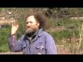 Mike Feingold's Permaculture Allotment