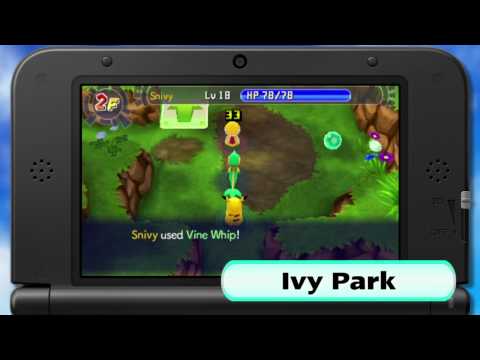 Immagine anteprima YouTube