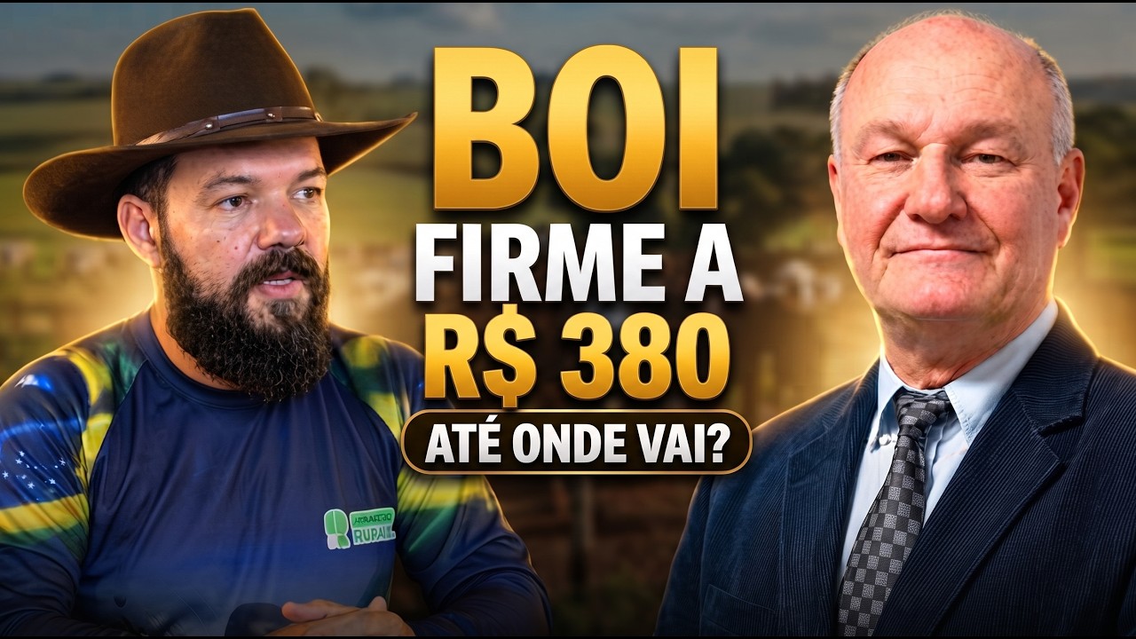 Boi firme a R$380; recorde histórico do frango e carne suína no topo do mundo com Vlamir Brandalizze