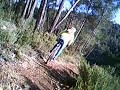 BTT_Caroig_Reserva de Quesa'10_1.AVI