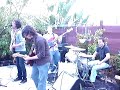 Apes of Wrath