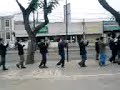 ensayo insuko