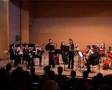 Vivaldi, concerto for two violins