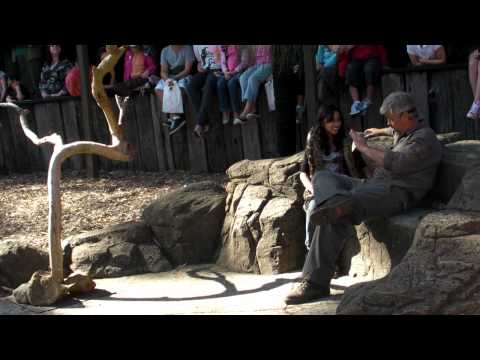 Indian Python