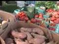 Organic Farming: Can It Feed Us (Part 1)