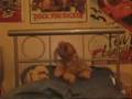 The Woofy Dog Song The Woofy Dog Song