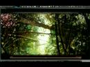 Guild Wars Ubuntu Gutsy/Compiz Fusion Guild Wars Ubuntu Gutsy/Compiz Fusion
