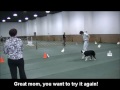 Click here to watch this video Oakly works her job at the GCOC Obedience and Rally Trial May 12, 2012