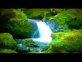 Relax musica, natura, boschi, cascate, montagne, musica rilassante e melodiosa