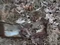 Blowing Shit Up With Tannerite -2nd Session-