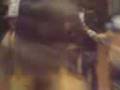 videos de mitchel deivid 4