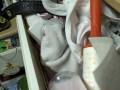 Jan 08 2009 - VID00006