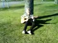 ost�md gitarr