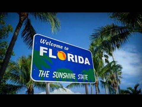 how to study for permit test fl