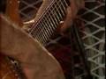 Carlos Santana & Wayne Shorter - Montreaux (Reference Copy)