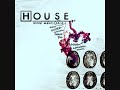 House MD theme