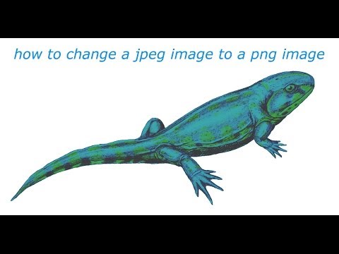 how to turn png into jpg