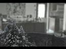 Context - Snowglobe