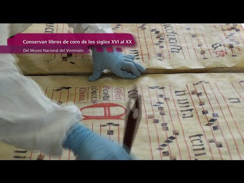 imagen vídeo