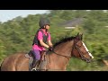 Windsurf Pony Club Cross Country Horse jumping