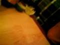videos de tarantino, surrealismo, drogas y steve