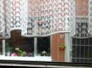 Vogels Vogels