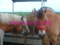 mosjee ik misss je onwijss erg..
