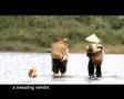 Conical Hat - Vietnam