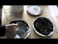 How To Grow Sunflower Sprouts on Soil, Ep97