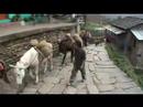 Trekking Annapurna - Gorepani to Birethanti 5th day part 2 Trekking Annapurna - Gorepani to Birethanti 5th day part 2