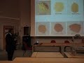 Click here to watch this video Ogale Rouen Conference Talk May 23, 2012 part 1c.AVI