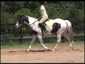 viedo-001c.html